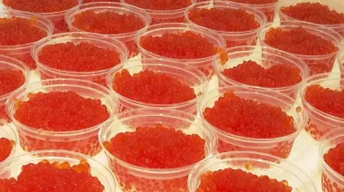 Russian ministry claims Witkoff took box of caviar from Russia for Trump