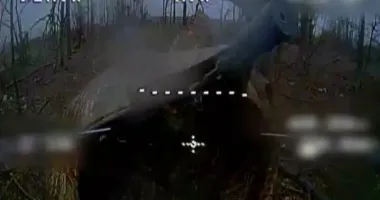 Прикордонники показали, як знищують росіян на Покровському напрямку